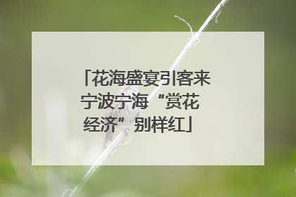 花海盛宴引客来 宁波宁海“赏花经济”别样红