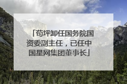 苟坪卸任国务院国资委副主任，已任中国星网集团董事长
