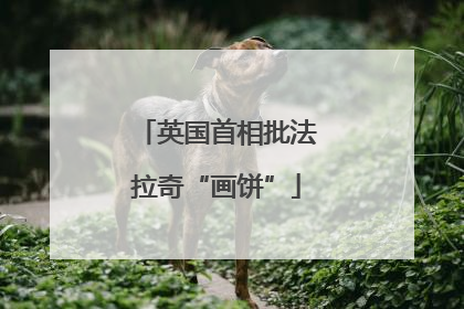 英国首相批法拉奇“画饼”
