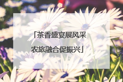 茶香盛宴展风采 农旅融合促振兴