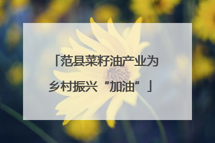 范县菜籽油产业为乡村振兴“加油”