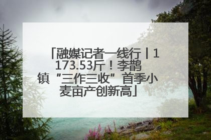 融媒记者一线行丨1173.53斤！李鹊镇“三作三收”首季小麦亩产创新高