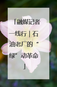 融媒记者一线行｜石油老厂的“绿”动革命