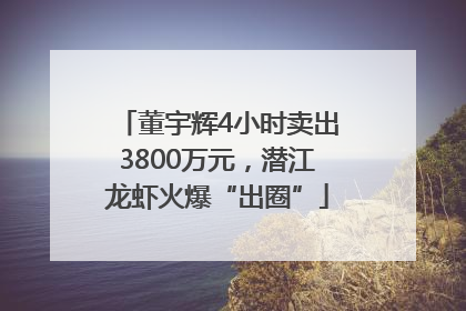 董宇辉4小时卖出3800万元，潜江龙虾火爆“出圈”
