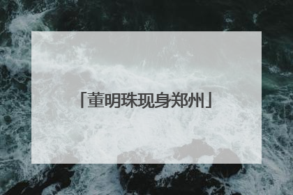 董明珠现身郑州