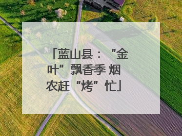 蓝山县：“金叶”飘香季 烟农赶“烤”忙