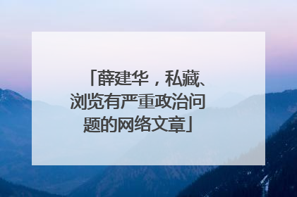 薛建华，私藏、浏览有严重政治问题的网络文章