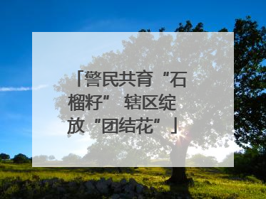 警民共育“石榴籽” 辖区绽放“团结花”