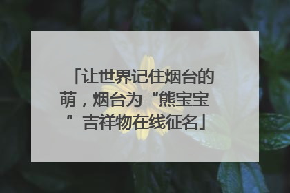 让世界记住烟台的萌，烟台为“熊宝宝”吉祥物在线征名