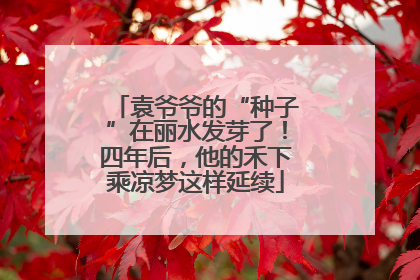 袁爷爷的“种子”在丽水发芽了！四年后，他的禾下乘凉梦这样延续