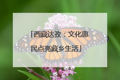 西藏达孜：文化惠民点亮藏乡生活