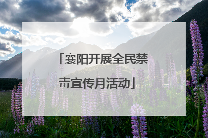 襄阳开展全民禁毒宣传月活动