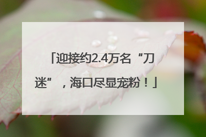 迎接约2.4万名“刀迷”，海口尽显宠粉！