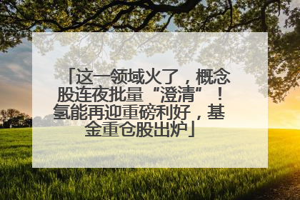 这一领域火了，概念股连夜批量“澄清”！氢能再迎重磅利好，基金重仓股出炉