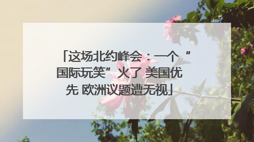 这场北约峰会：一个“国际玩笑”火了 美国优先 欧洲议题遭无视