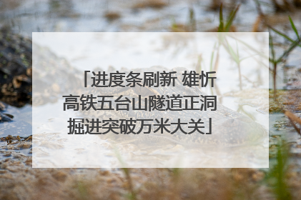 进度条刷新 雄忻高铁五台山隧道正洞掘进突破万米大关