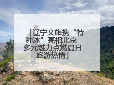 辽宁文旅携“特种冰”亮相北京 多元魅力点燃夏日旅游热情