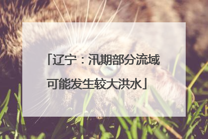 辽宁：汛期部分流域可能发生较大洪水