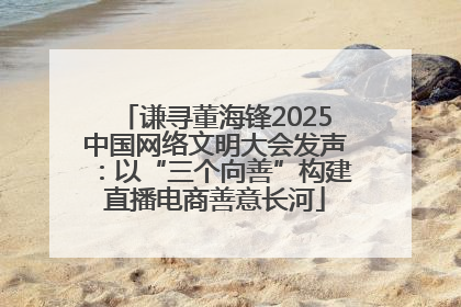 谦寻董海锋2025中国网络文明大会发声：以“三个向善”构建直播电商善意长河