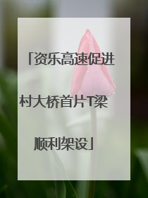 资乐高速促进村大桥首片T梁顺利架设