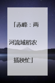 赤峰：两河流域稻农插秧忙