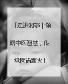 走进湘鄂｜领略中医智慧，传承医道薪火