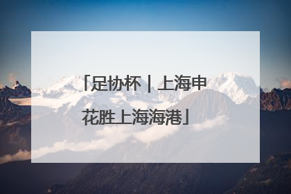 足协杯｜上海申花胜上海海港