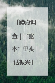蹲点调查｜“账本”里头话振兴