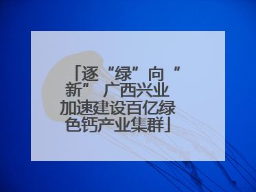 逐“绿”向“新” 广西兴业加速建设百亿绿色钙产业集群