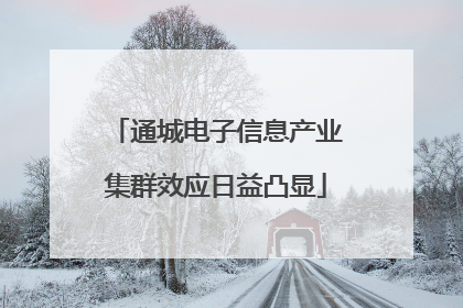 通城电子信息产业集群效应日益凸显