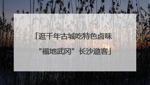 逛千年古城吃特色卤味 “福地武冈”长沙邀客