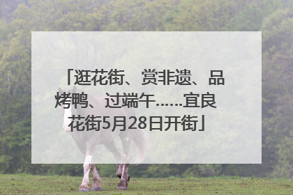 逛花街、赏非遗、品烤鸭、过端午……宜良花街5月28日开街