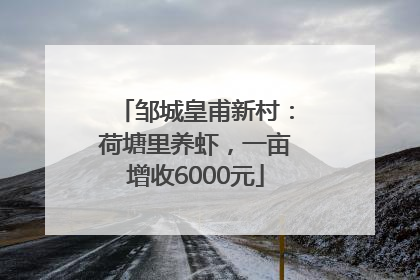 邹城皇甫新村：荷塘里养虾，一亩增收6000元