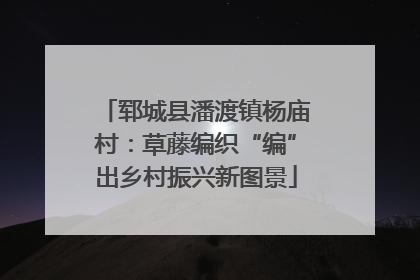郓城县潘渡镇杨庙村：草藤编织“编”出乡村振兴新图景