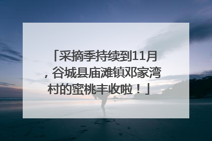 采摘季持续到11月，谷城县庙滩镇邓家湾村的蜜桃丰收啦！