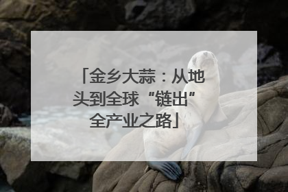 金乡大蒜：从地头到全球“链出”全产业之路