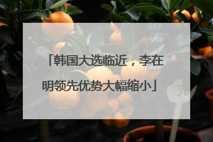 韩国大选临近，李在明领先优势大幅缩小