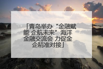 青岛举办“金融赋能 企航未来”海洋金融交流会 力促金企精准对接
