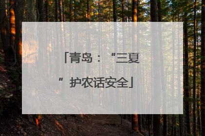 青岛：“三夏”护农话安全