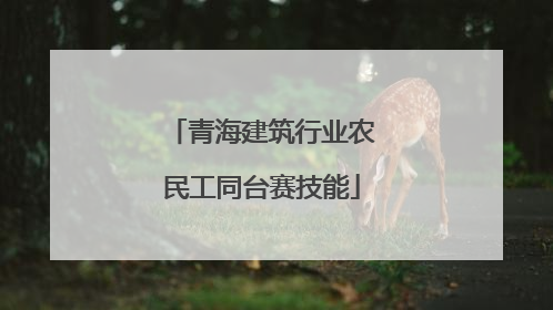 青海建筑行业农民工同台赛技能