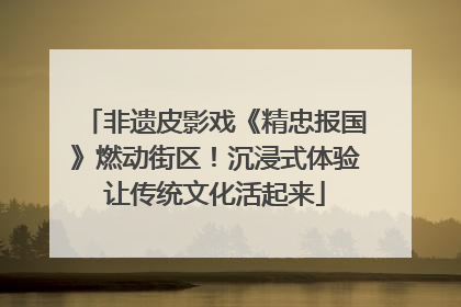 非遗皮影戏《精忠报国》燃动街区！沉浸式体验让传统文化活起来