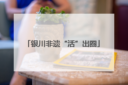 银川非遗“活”出圈