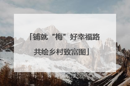 铺就“梅”好幸福路 共绘乡村致富图