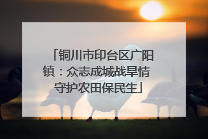 铜川市印台区广阳镇：众志成城战旱情 守护农田保民生