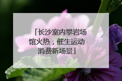 长沙室内攀岩场馆火热，催生运动消费新场景
