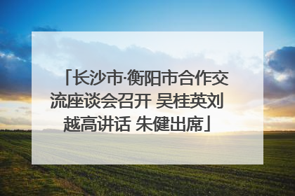 长沙市·衡阳市合作交流座谈会召开 吴桂英刘越高讲话 朱健出席