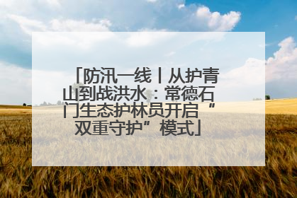 防汛一线丨从护青山到战洪水：常德石门生态护林员开启“双重守护”模式