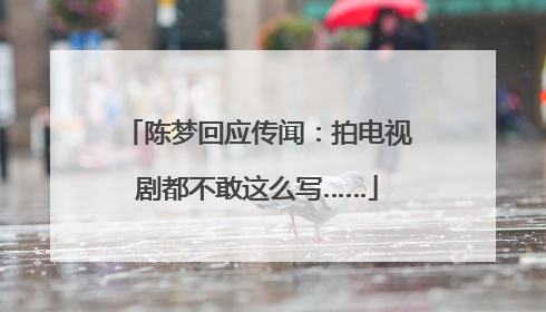 陈梦回应传闻：拍电视剧都不敢这么写……