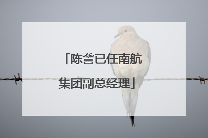 陈詟已任南航集团副总经理