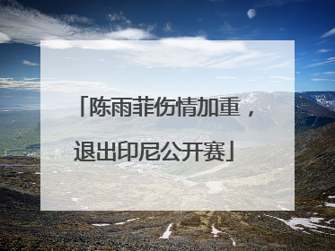 陈雨菲伤情加重，退出印尼公开赛